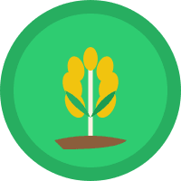 Agriculture